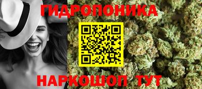 гашик Краснодар