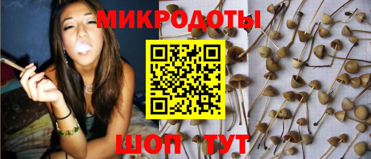 Галлюциногенные грибы Cubensis Корсаков