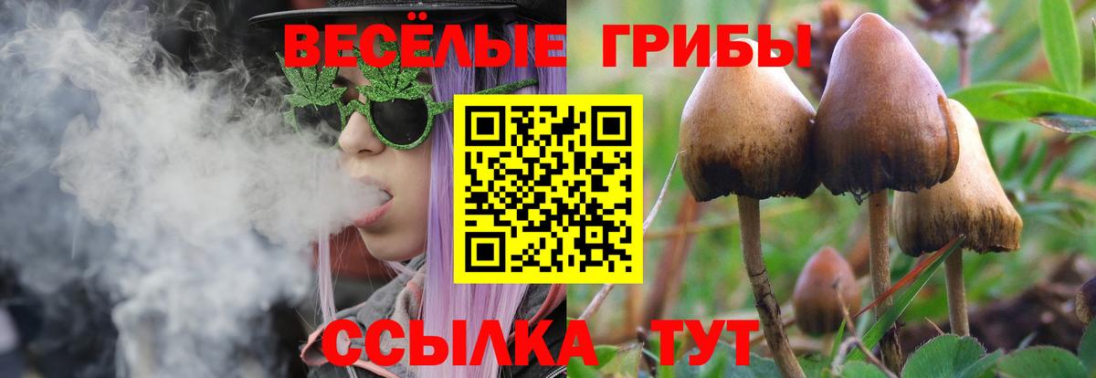 Псилоцибиновые грибы мухоморы  Вход с VPN  Корсаков 